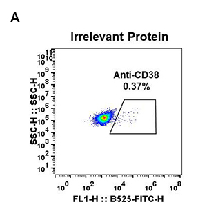 Anti-CD38 antibody(DM29), Rabbit mAb