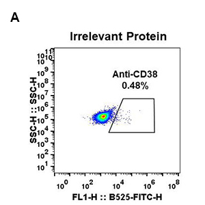 Anti-CD38 antibody(DM30), Rabbit mAb