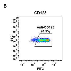 Anti-CD123 antibody(DM31), Rabbit mAb