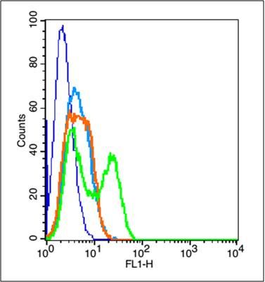 PCDH8 Polyclonal Antibody