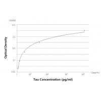 Recombinant Tau Rabbit mAb(G70)