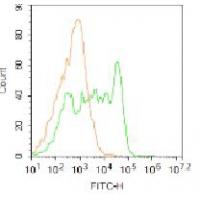 Sca1 Polyclonal Antibody FITC Conjugated