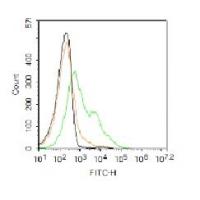 Sca1 Polyclonal Antibody FITC Conjugated