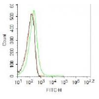 Sca1 Polyclonal Antibody FITC Conjugated