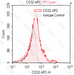 APC anti-human CD32