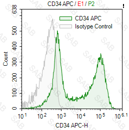 APC anti-human CD34