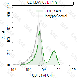 APC anti-human CD133