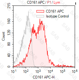 APC anti-human CD161