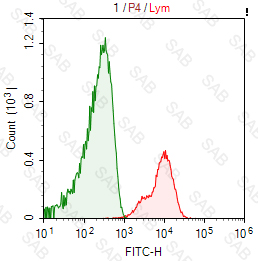 FITC anti-human CD29