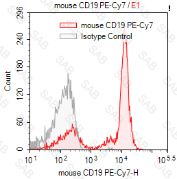 PE-Cy7 anti-mouse CD19