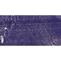 Collagen II Mouse mAb