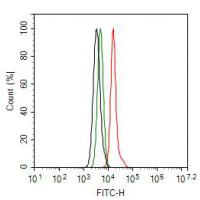 PI3-kinase p85 subunit alpha Antibody
