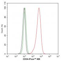 CD34 Rabbit mAb