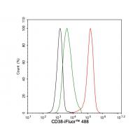 CD38 Rabbit mAb