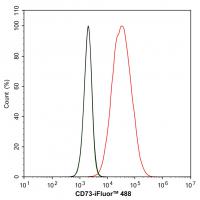 CD73 Rabbit mAb
