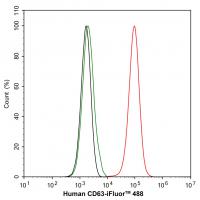 CD63 Rabbit mAb