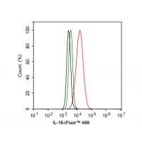 IL-18 Rabbit mAb