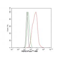 HER2 / ErbB2 Rabbit mAb